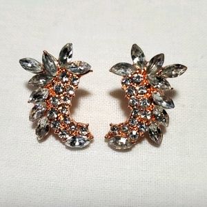 Costume jewelry  earrings